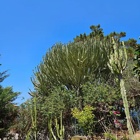 Belvedere Santa Lucia * Cefalù