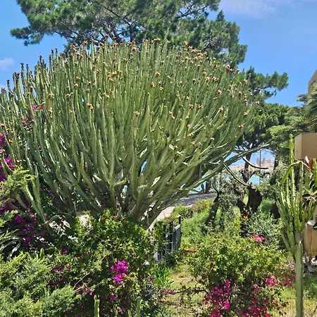 Belvedere Santa Lucia Apartmán